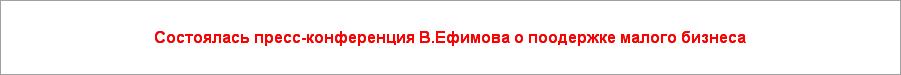 Состоялась пресс-конференция В.Ефимова о поодержке малого бизнеса